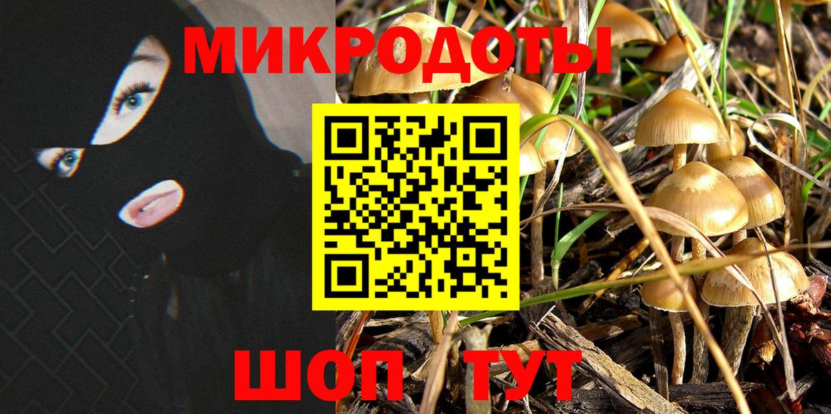 Псилоцибиновые грибы Cubensis Вязники