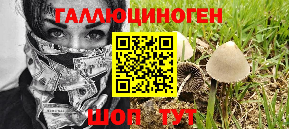 Вязники  Галлюциногенные грибы GOLDEN TEACHER  Псилоцибиновые грибы прущие грибы  Вход с VPN 
